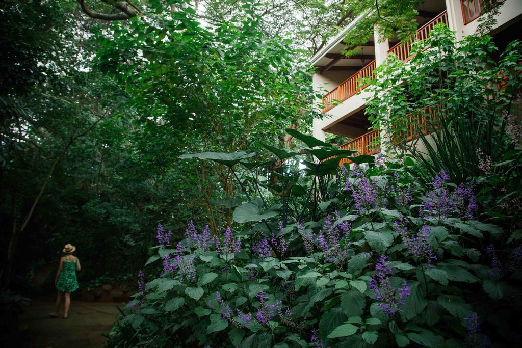 Honeywood Forest Lodge Port Shepstone Eksteriør bilde