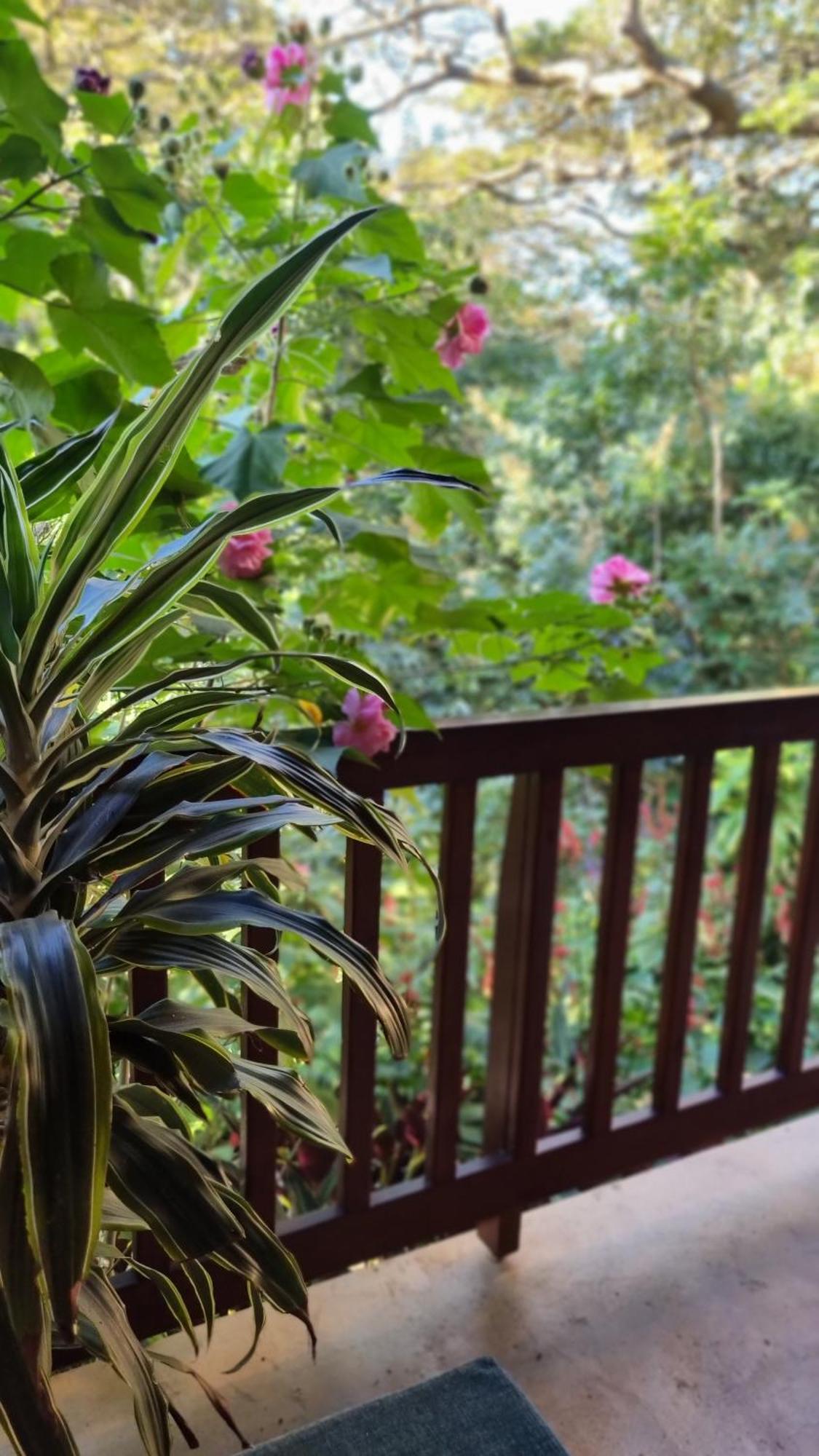 Honeywood Forest Lodge Port Shepstone Eksteriør bilde