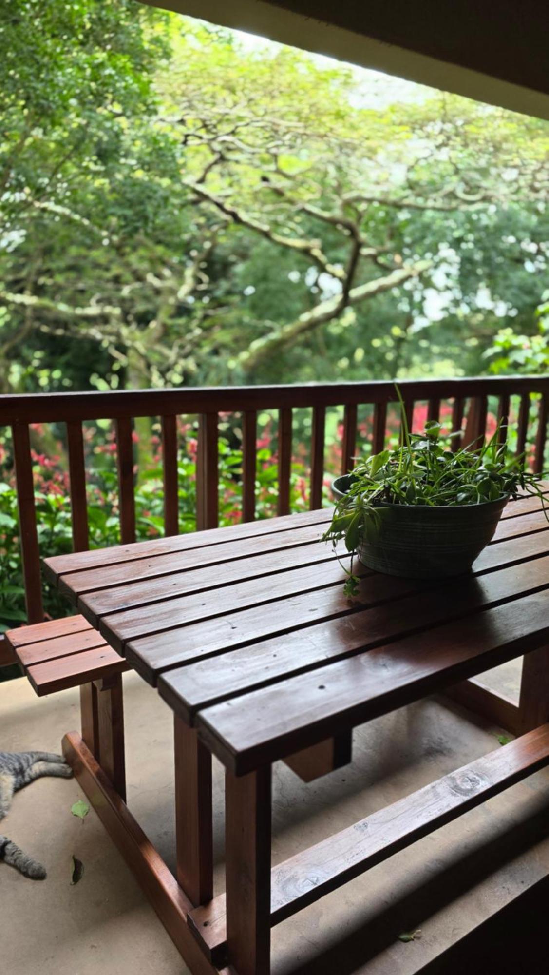 Honeywood Forest Lodge Port Shepstone Eksteriør bilde